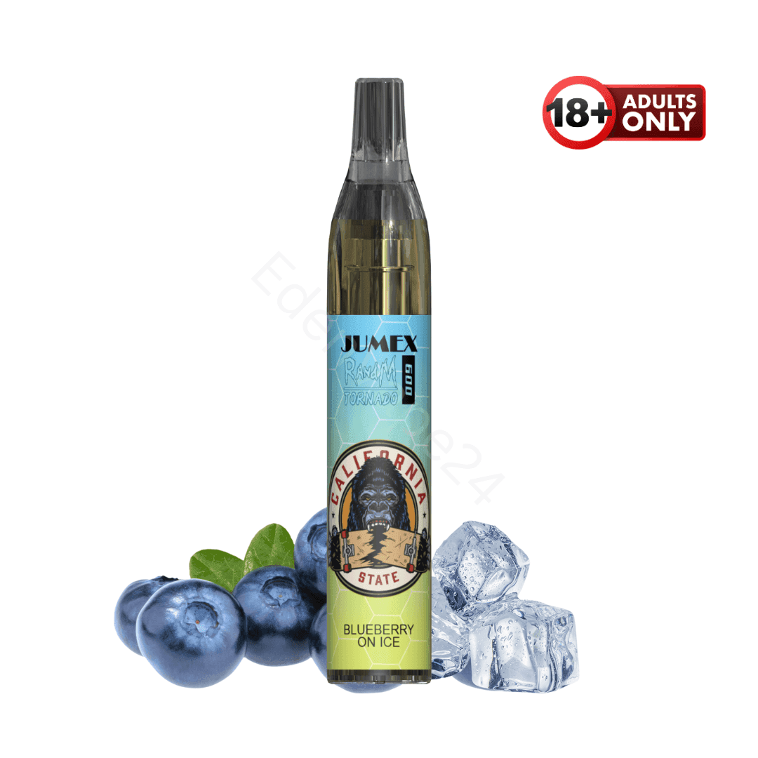 RandM Tornado 600 Fumot Vapes - Blueberry On Ice - EdenVape24